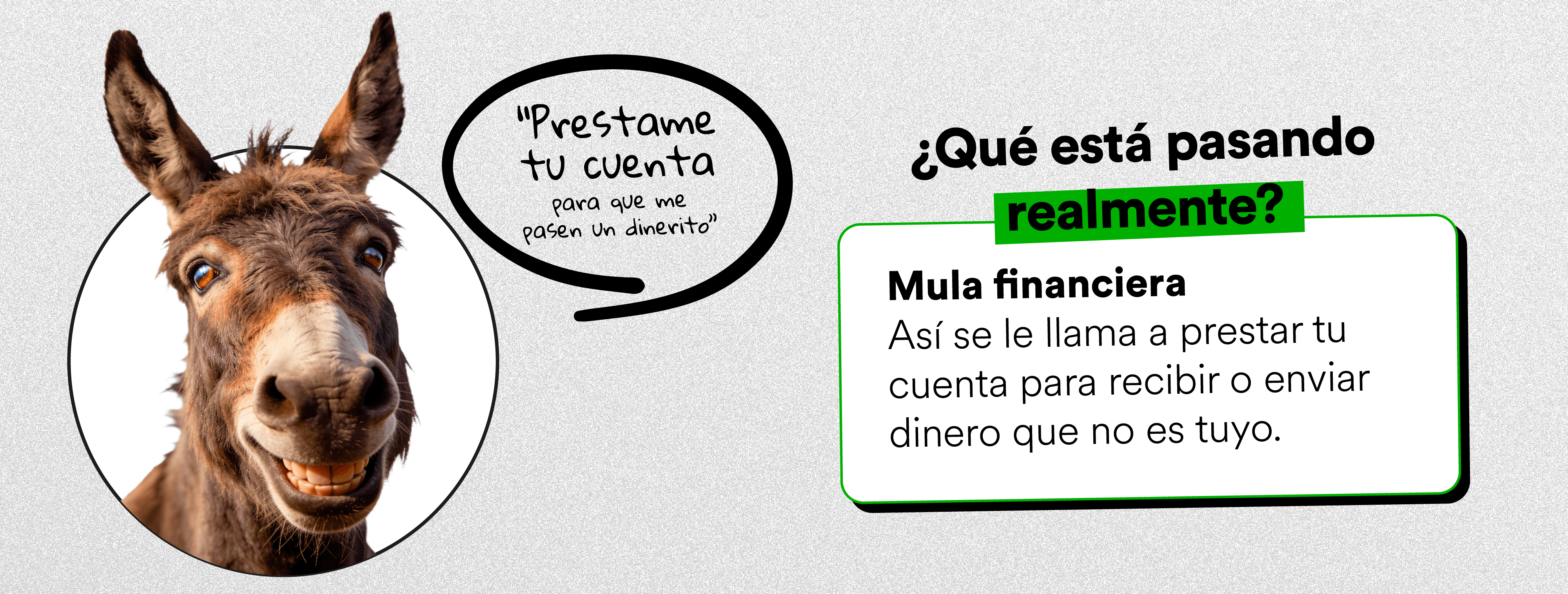 mulas-financieras-en-el-salvador